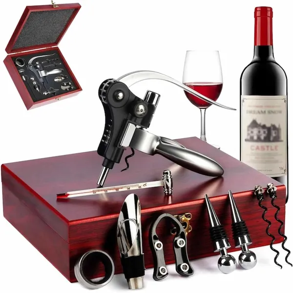 Set Desfacator Vin Profesional